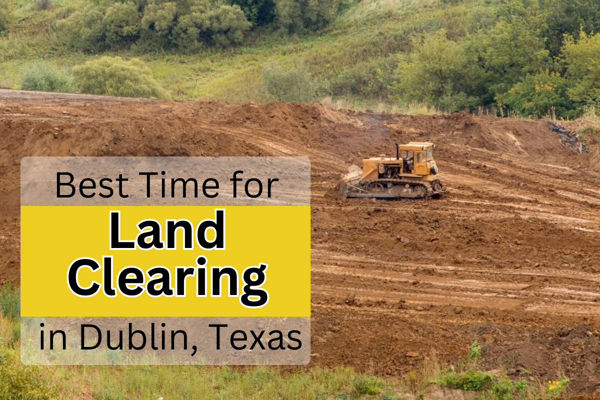 How to Determine the Right Time for Land Clearing in Dublin, TX