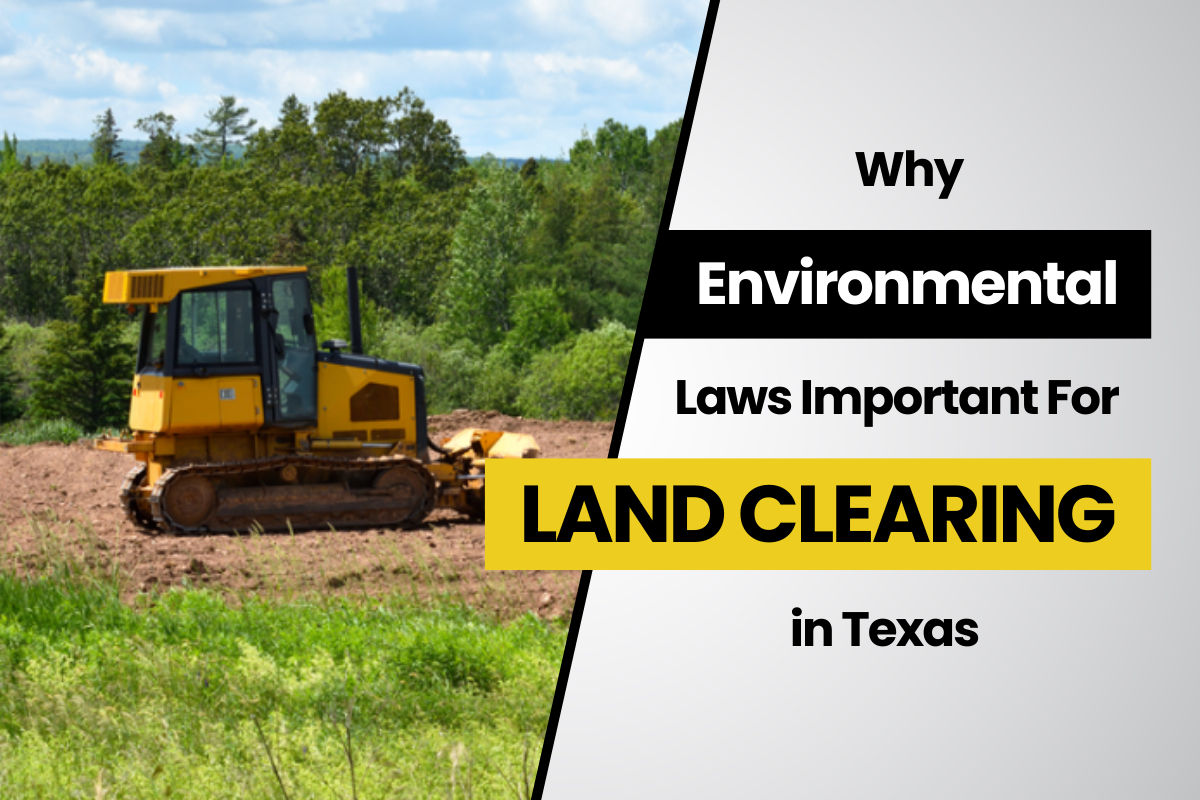 Why Following Environmental Laws Is Crucial for Land Clearing Services ...