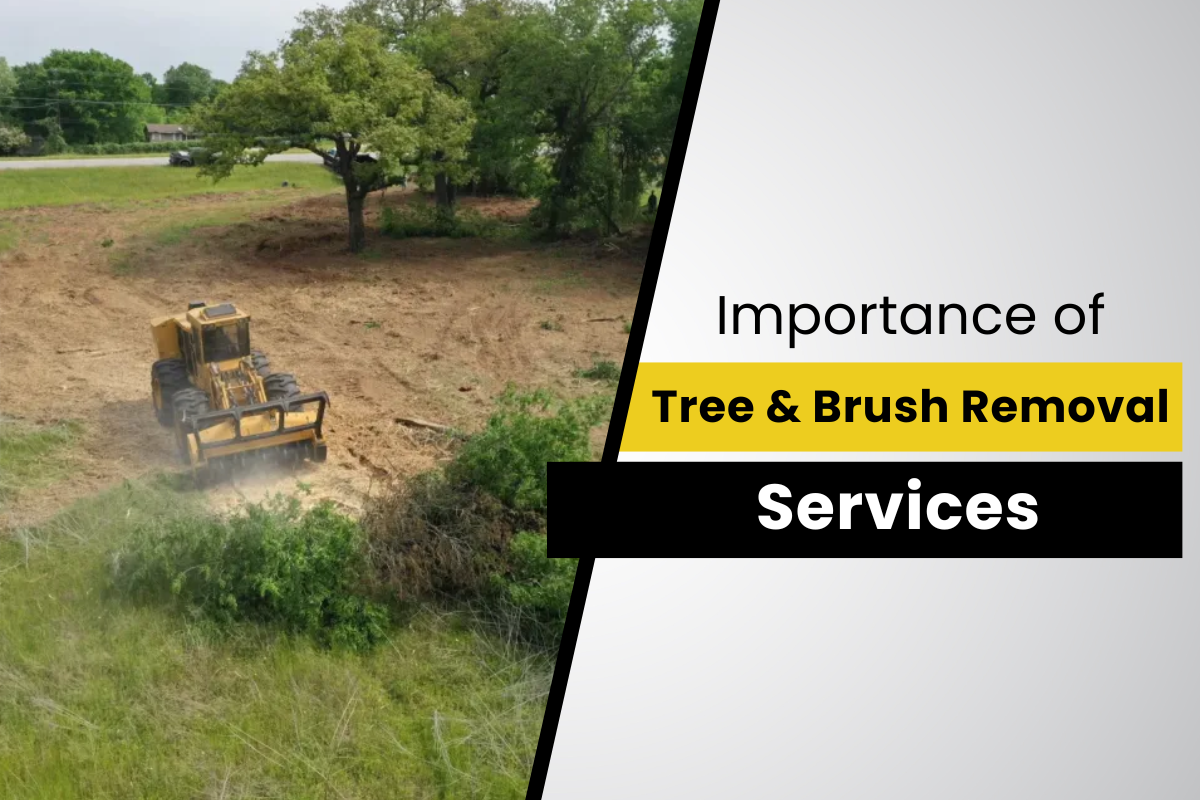 How Professional Tree and Brush Removal Services Save Time and Money ...