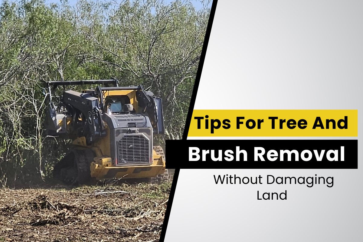 Top Tips for Efficient Tree and Brush Removal Without Damaging Your Land