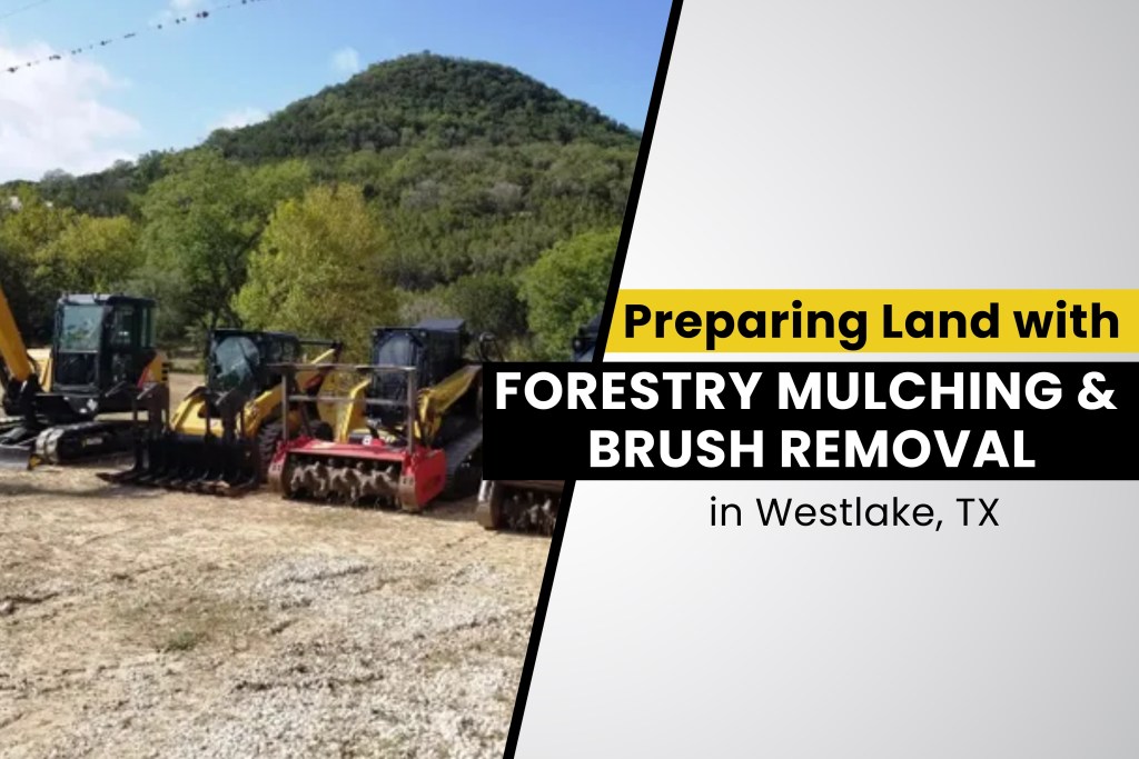 Forestry Mulching and Brush Removal Help Prepare Land
